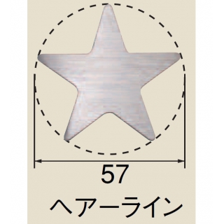 ドアマーク　スター(ステンレス/2t)