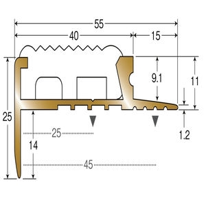 アシステップ　真鍮製　タイヤのみ