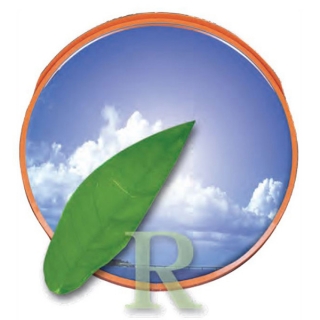 あ～るミラー　丸形　一面鏡